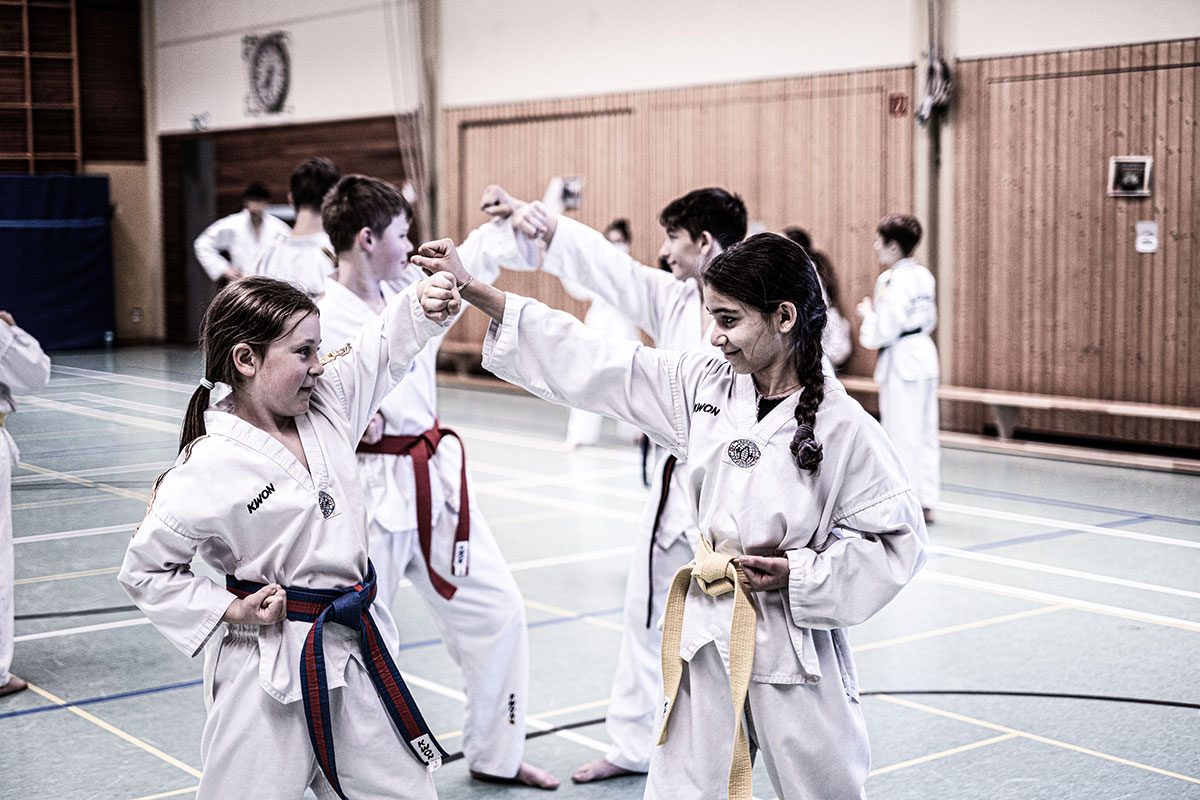 Aslan_Taekwondo_Training_2