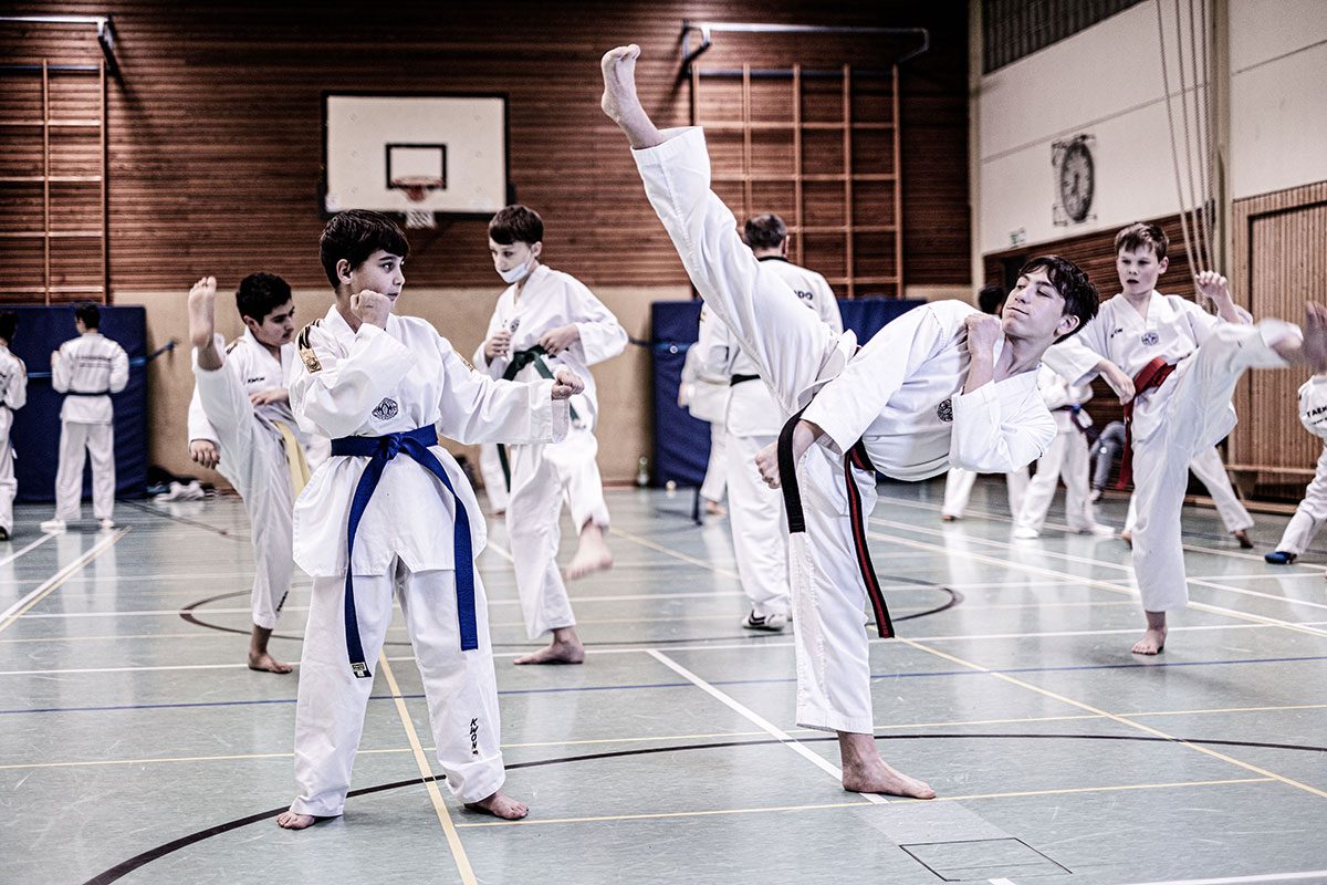 Aslan_Taekwondo_Training_3