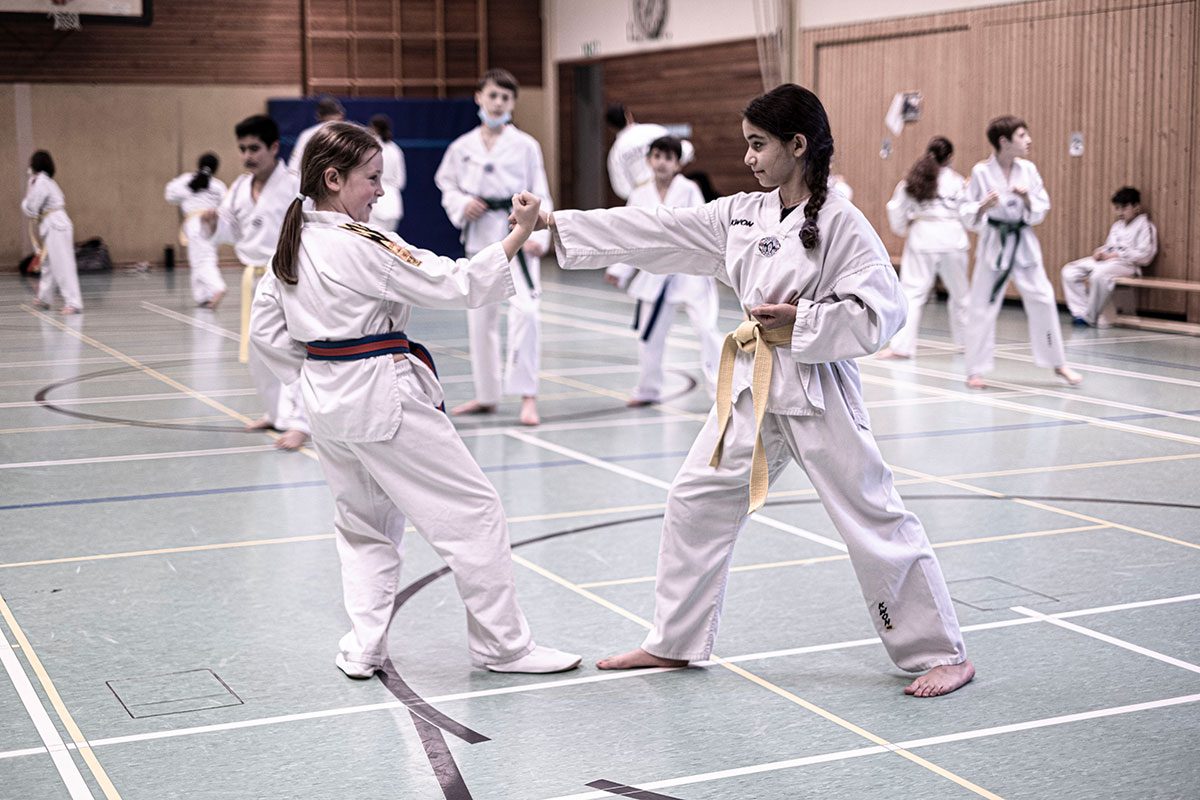 Aslan_Taekwondo_Training_8